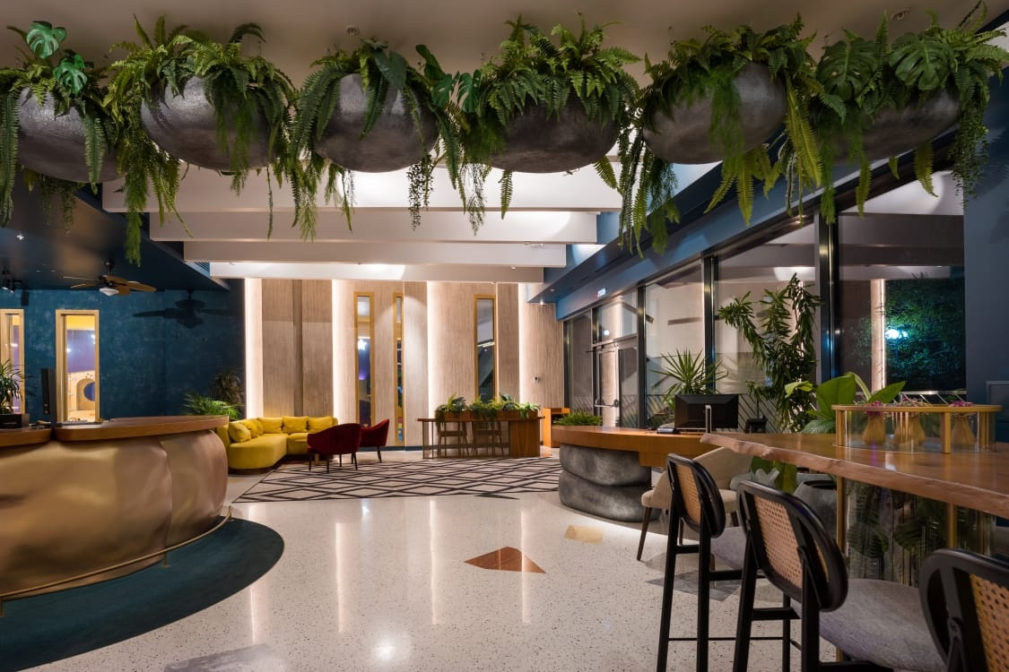 АО Cosmos Stay Le Rond Sochi 4* (Адажио) — жилой комплекс в Дагомыс, Сочи — фото 10