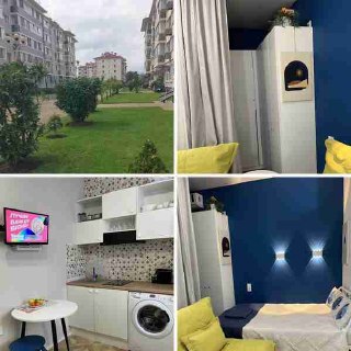 1-комнатная квартира 24 м² — Адлер, Сочи