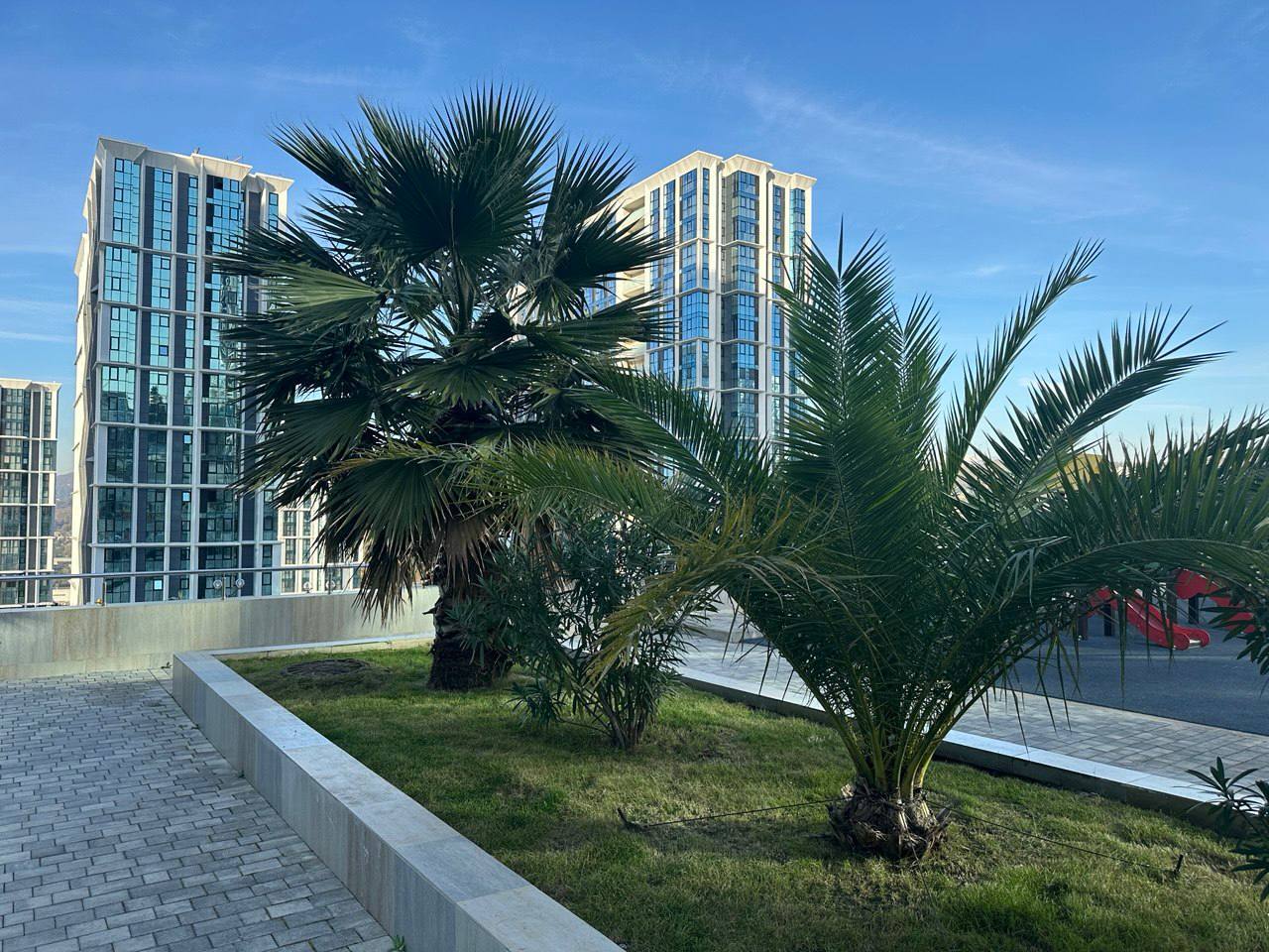Квартира, 18 м² — Сочи